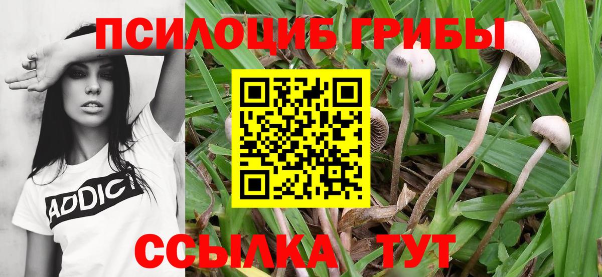 Галлюциногенные грибы GOLDEN TEACHER Оренбург